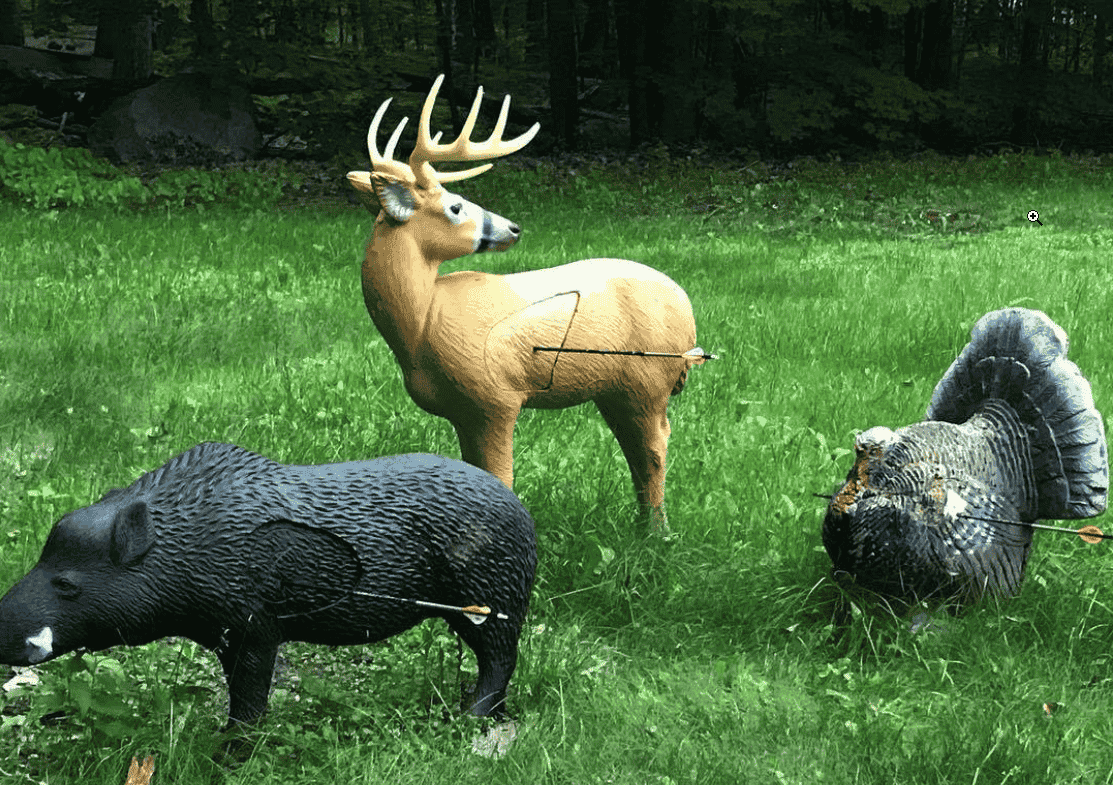 3D Archery Events and Community Participation